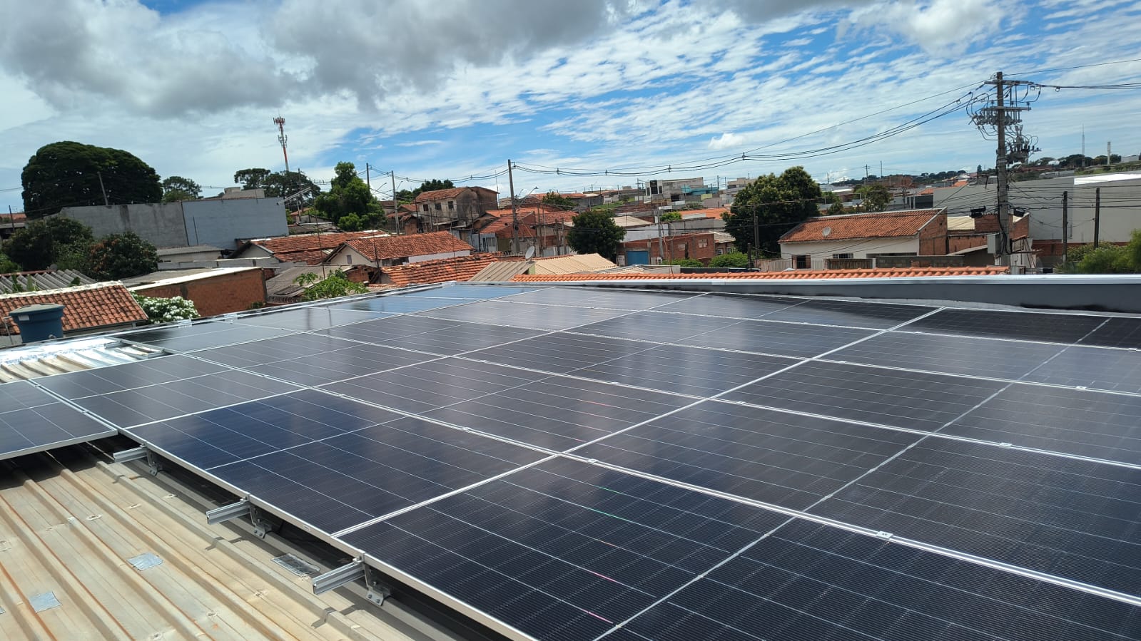 WhatsApp Image 2026-01-14 at 11.00.10